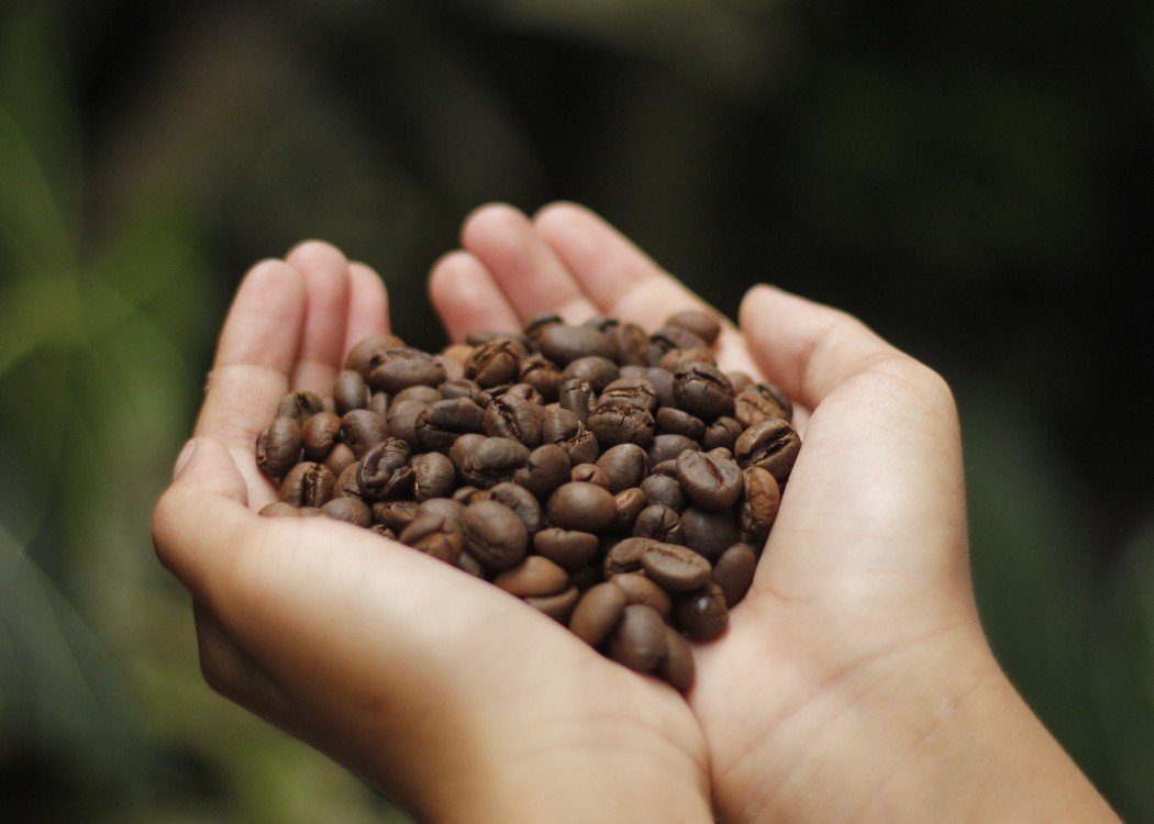 PT Anugrah Pertiwi Global - coffee product 2